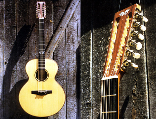 12-string Nr. 20